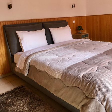Apostolos Hotel メツォヴォ エクステリア 写真