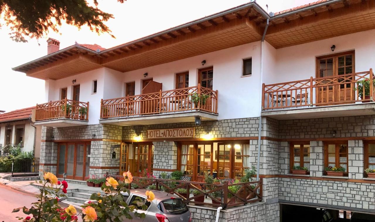 Apostolos Hotel メツォヴォ エクステリア 写真