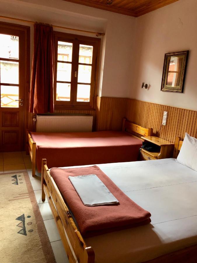 Apostolos Hotel メツォヴォ エクステリア 写真