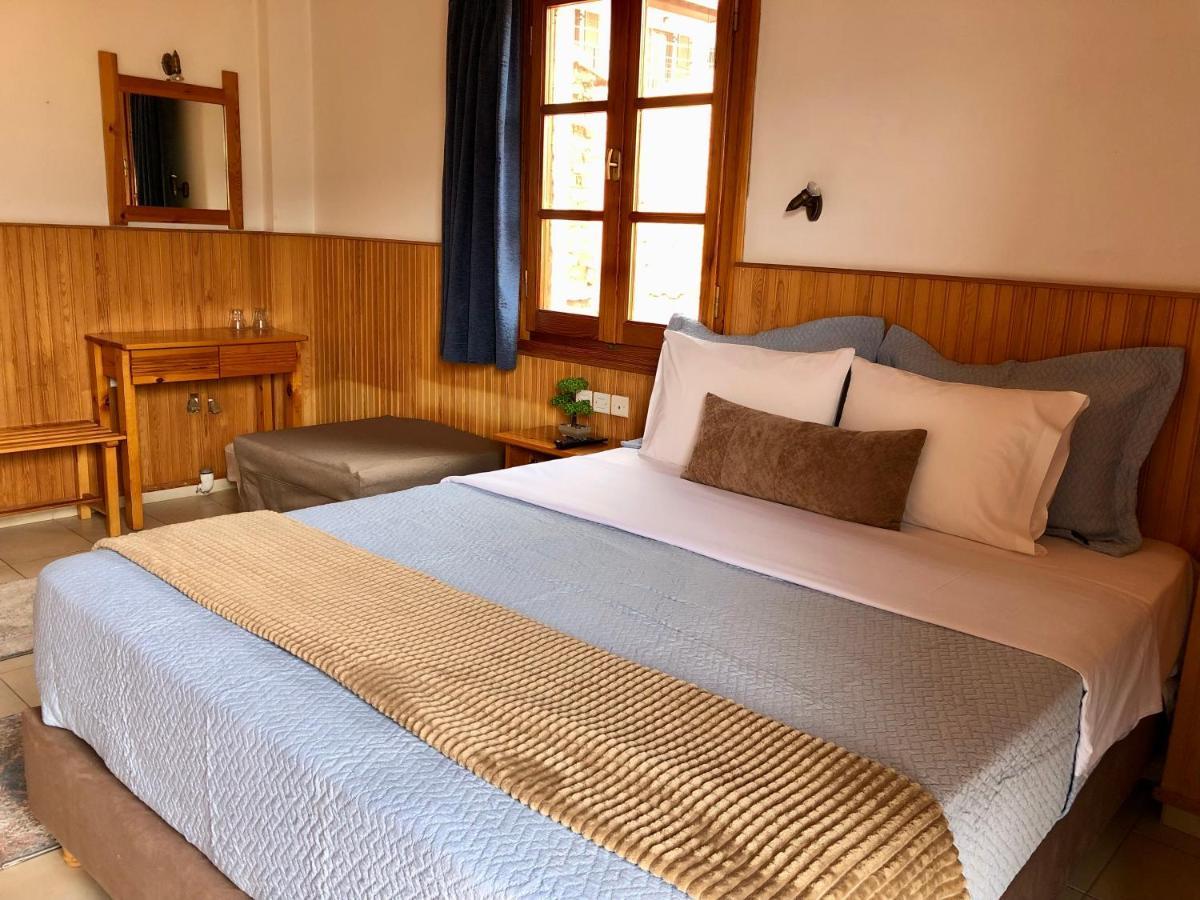 Apostolos Hotel メツォヴォ エクステリア 写真