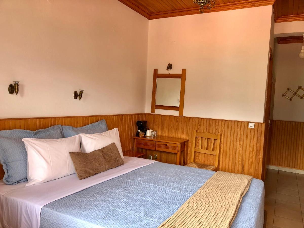 Apostolos Hotel メツォヴォ エクステリア 写真
