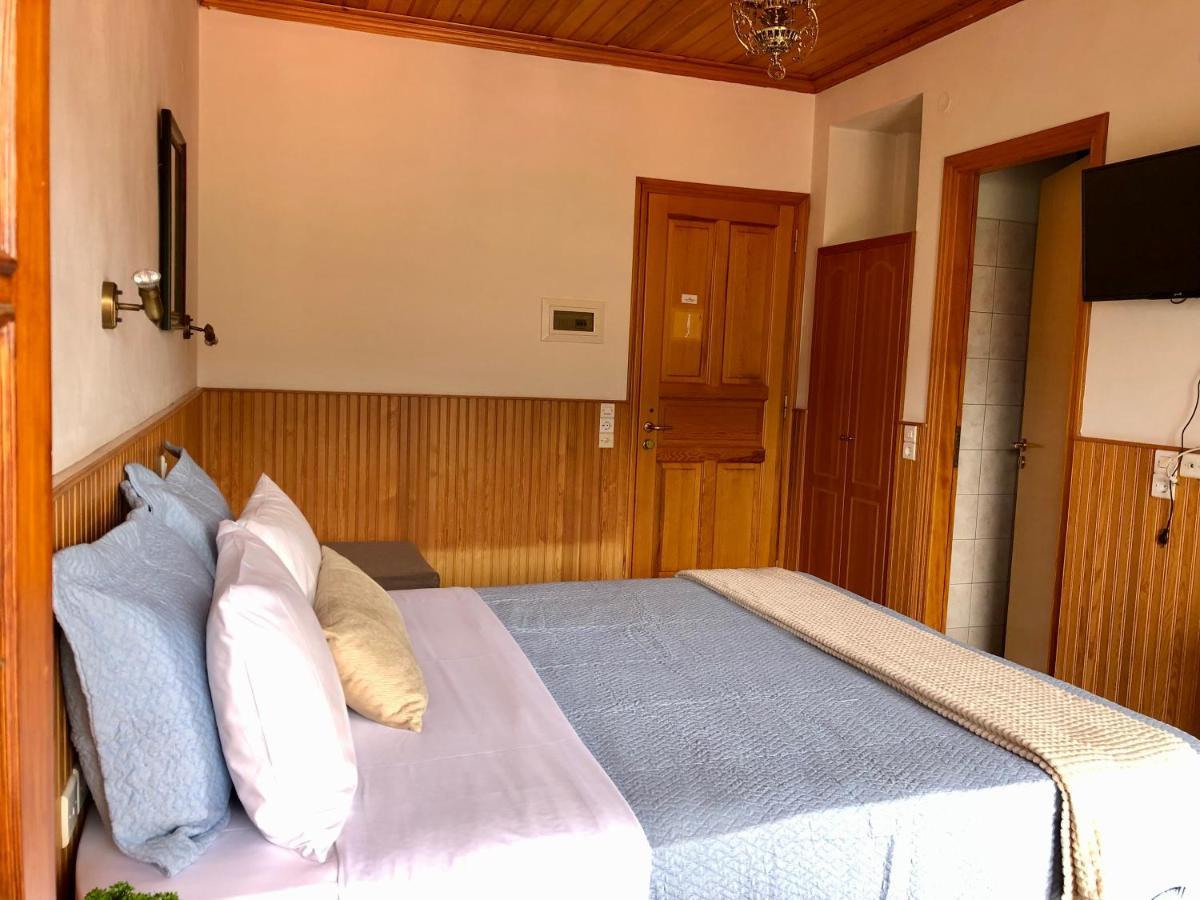 Apostolos Hotel メツォヴォ エクステリア 写真