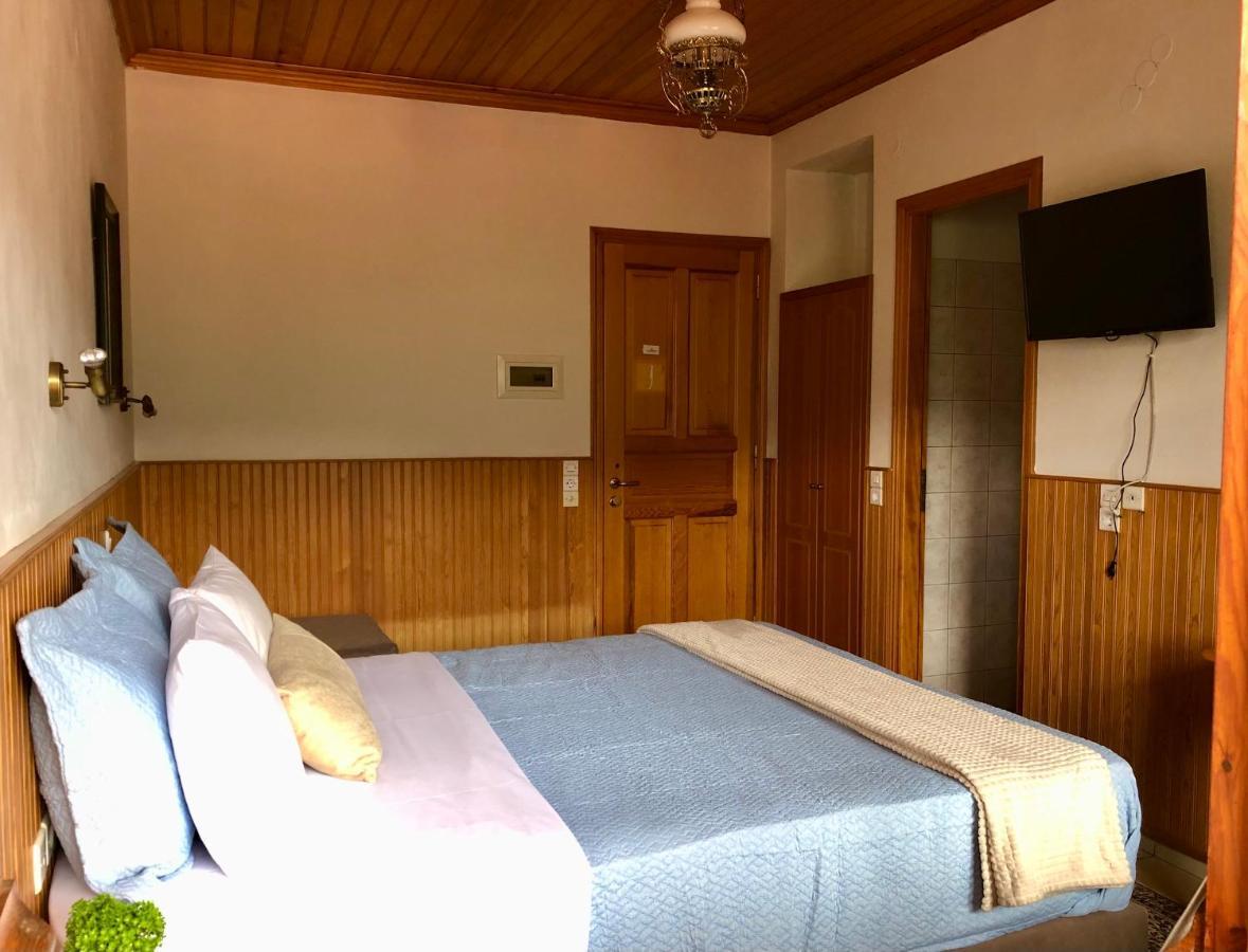 Apostolos Hotel メツォヴォ エクステリア 写真