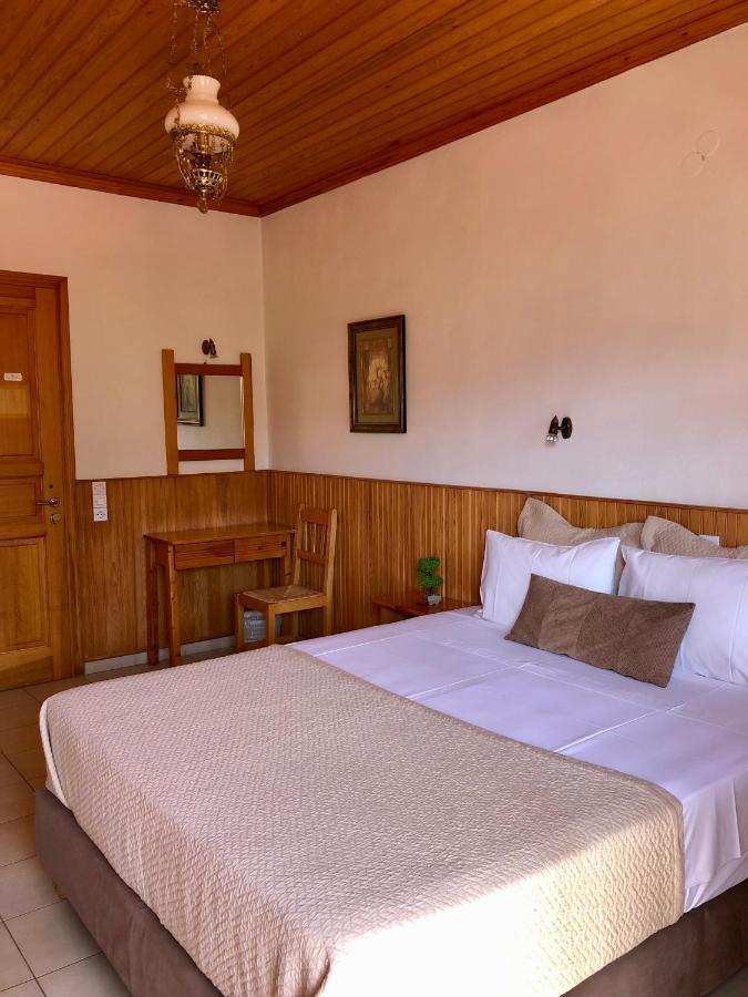Apostolos Hotel メツォヴォ エクステリア 写真
