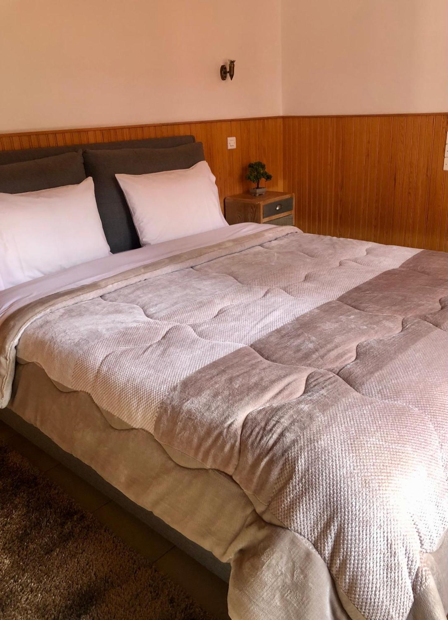 Apostolos Hotel メツォヴォ エクステリア 写真