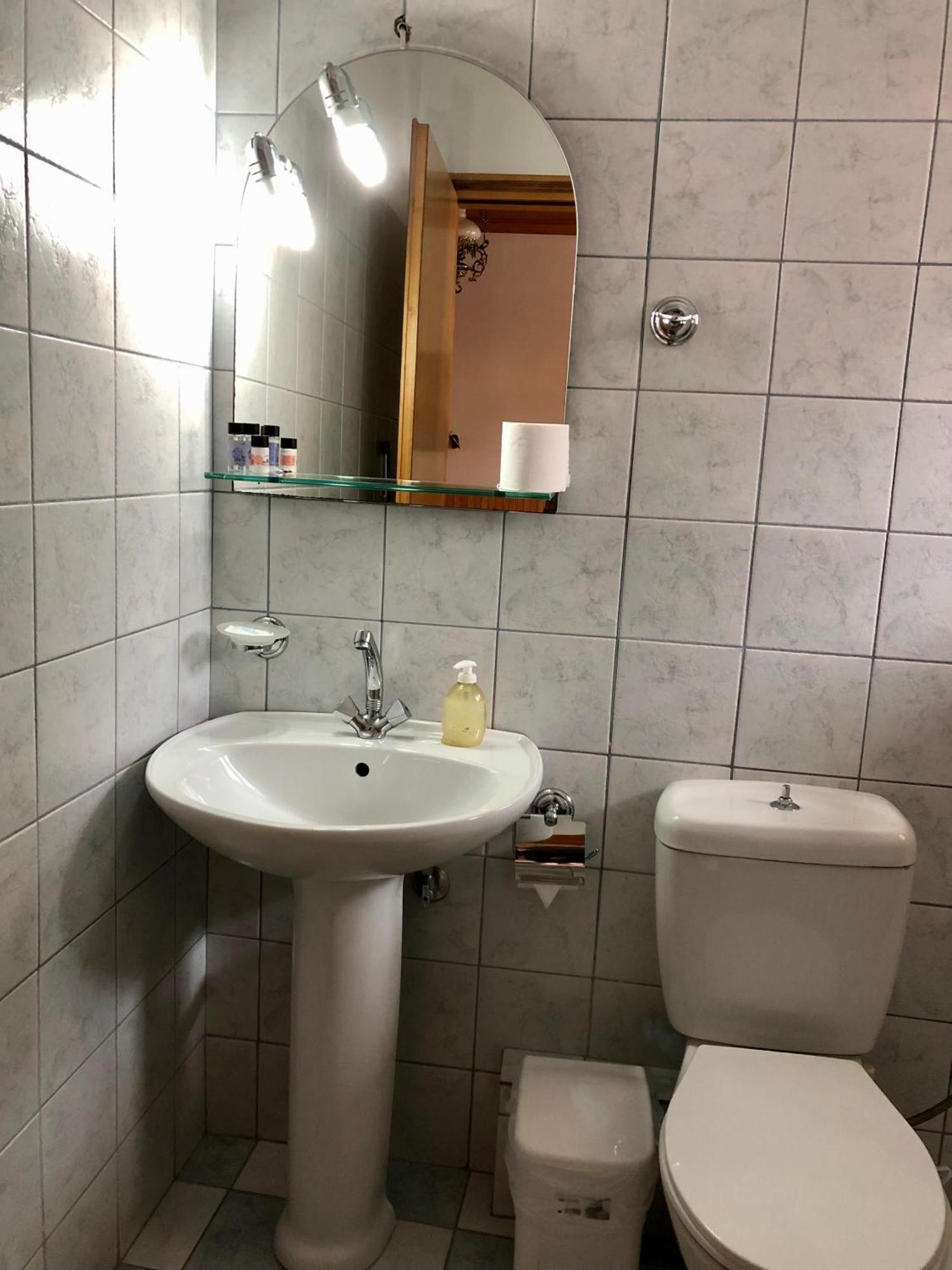 Apostolos Hotel メツォヴォ 部屋 写真