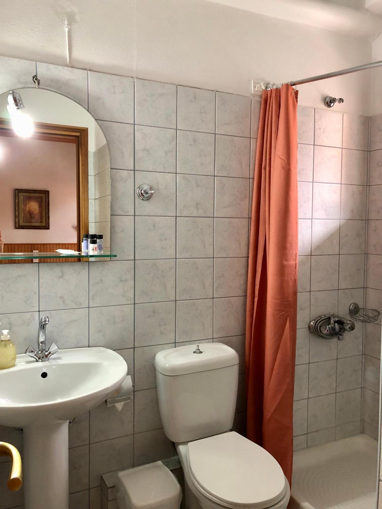 Apostolos Hotel メツォヴォ 部屋 写真